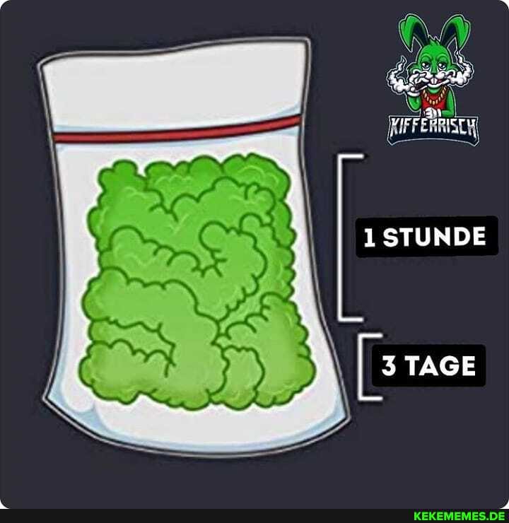 1 STUNDE
E TAGE