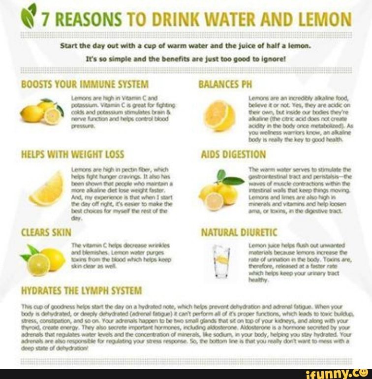 7 REASONS TO DRINK WATER AND LEMON Start the day out with cup of vearm