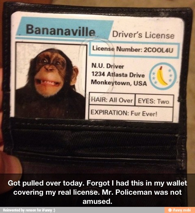 f
Bananaville
Driver's Licens
License Number: 2COOL4U
N.U. Driver
1234 Atlasta Drive
Monkeytown, USA
HAIR: All Over
EXPIRATION
Got pulled over today. Forgot I had this in my wallet
covering my real license. Mr. Policeman was not
amused.