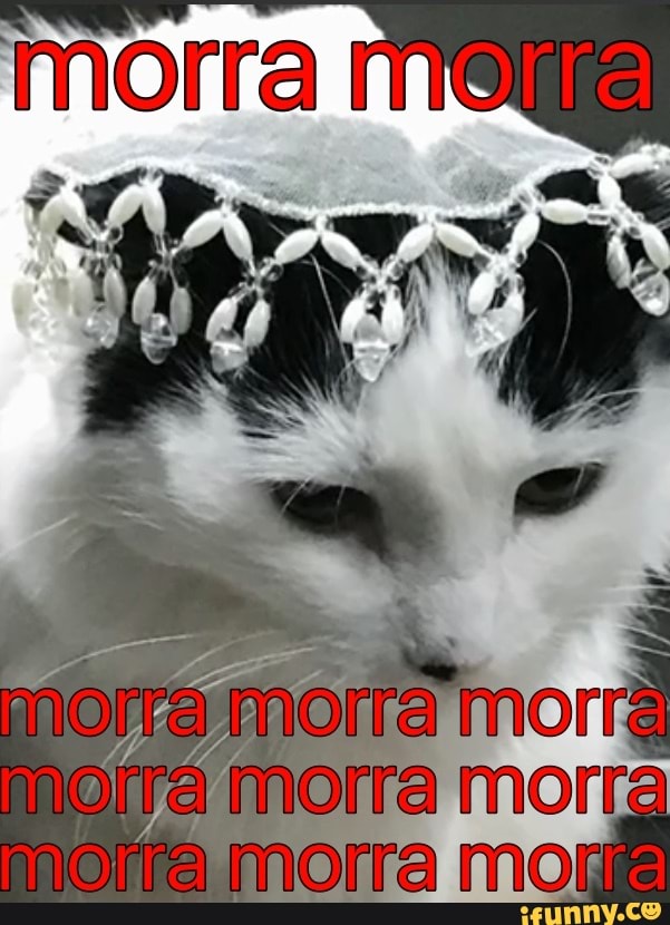 A inorra moma mom moira morra moira morra mora )