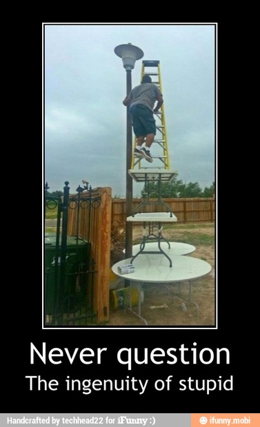 es
Never question
The ingenuity of stupid - Never question
The ingenuity of stupid