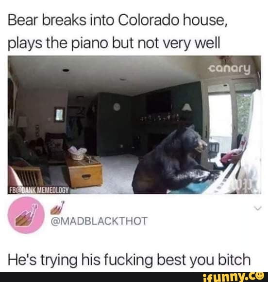 Bear breaks into Colorado house,
plays the piano but not very well
He's trying his fucking best you bitch