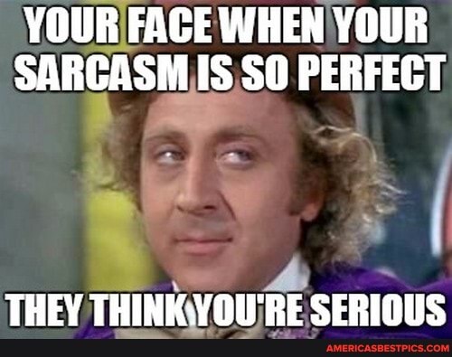 YOUR FACE WHEN YOUR SARCASM IS SO PERFECT
THEY SERINUS