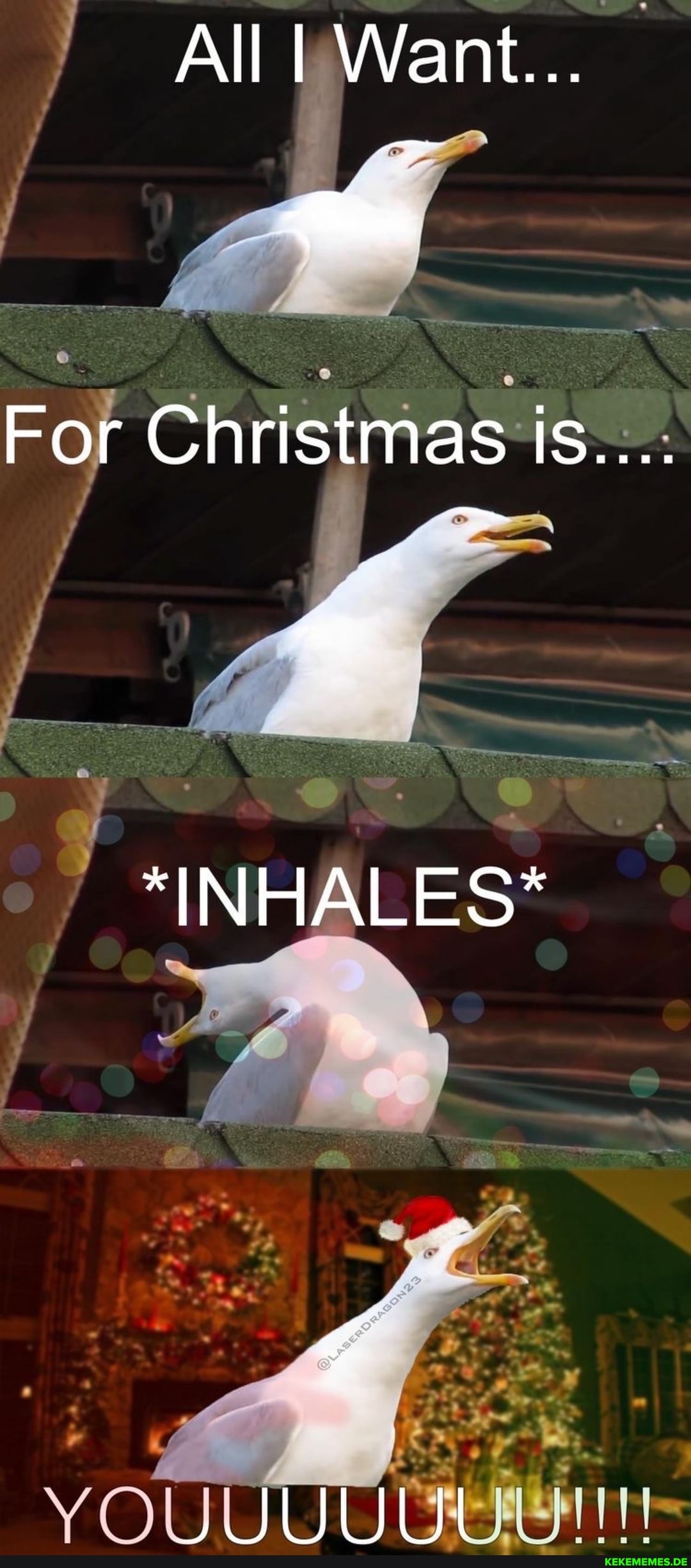 All I Want...
For Christmas Is....
"INHALES*