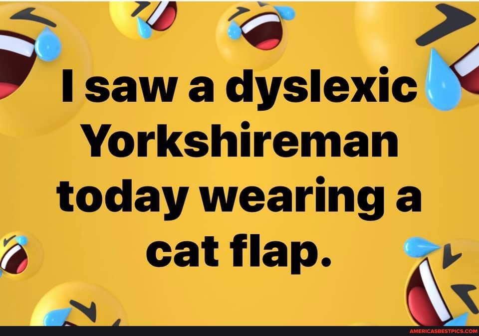 - fA saw a dyslexic
VYorkshireman today wearing a
cat flap.
\\AS
