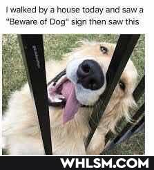 walked by house today and saw a
"Beware of Dog" sign then saw this