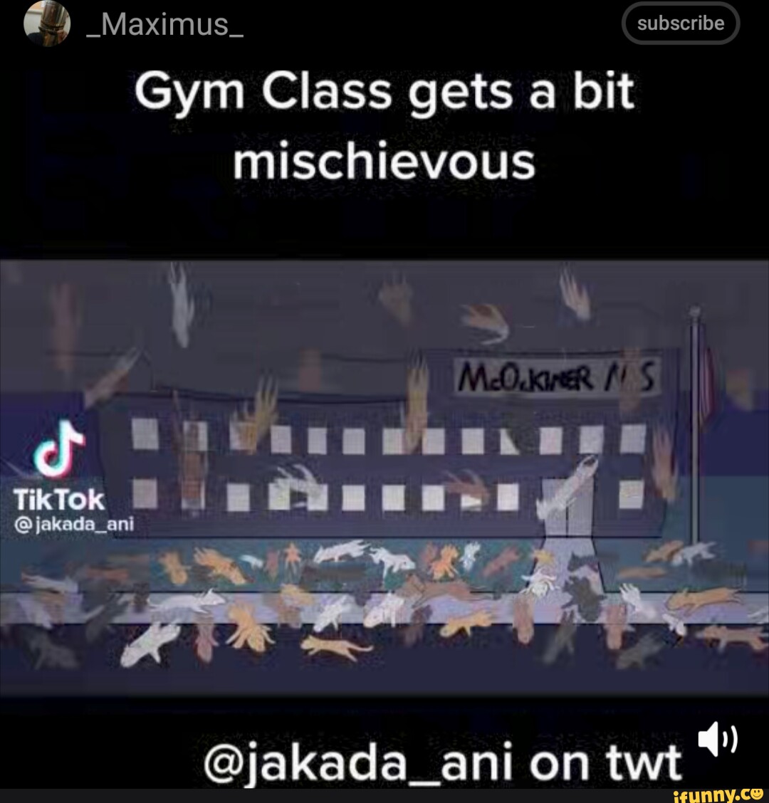 _Maximus_ subscribe Gym Class gets a bit mischievous I TikTok on @jakada_ani  on twt - iFunny