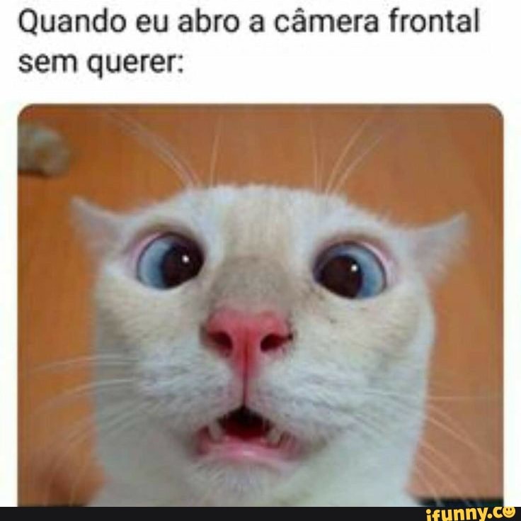 Quando eu abro a câmera frontal
sem querer: