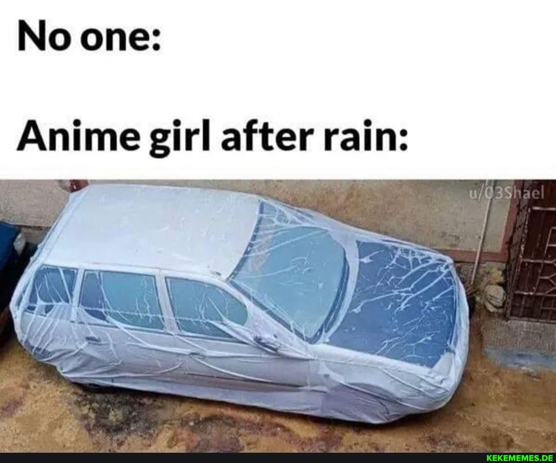 No one:
Anime girl after rain: