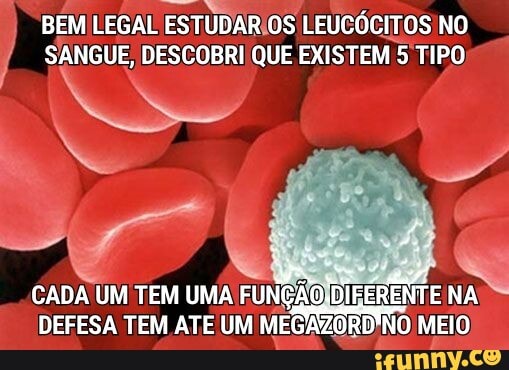 BEM LEGAL ESTUDAR OS LEUCÓCITOS NO SANGUE, DESCOBRI QUE EXISTEM 5 TIPO
CADA UM TEM UMA FUNCÃO .DIFERENTE NA DEFESA TEM ATE UM MEGAZORDINO MEIO