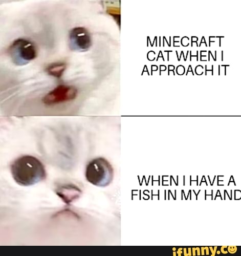 MINECRAFT CAT WHEN I
APPROACH IT
WHEN HAVE A FISH IN MY HAN