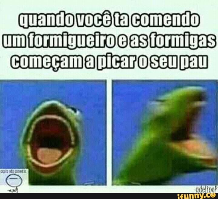 quandojvocêitacomendo)
um formigueiro ejas formigas