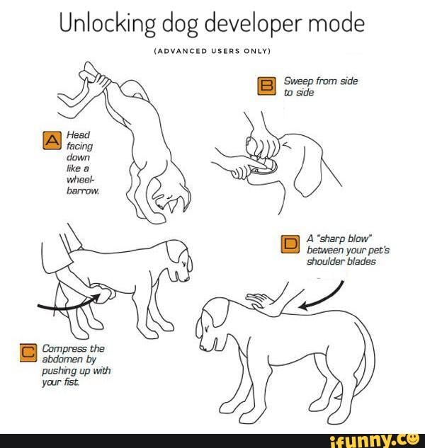 Unlocking dog developer mode (ADVANCED USERS ONLY) 'Sweep from side A ...