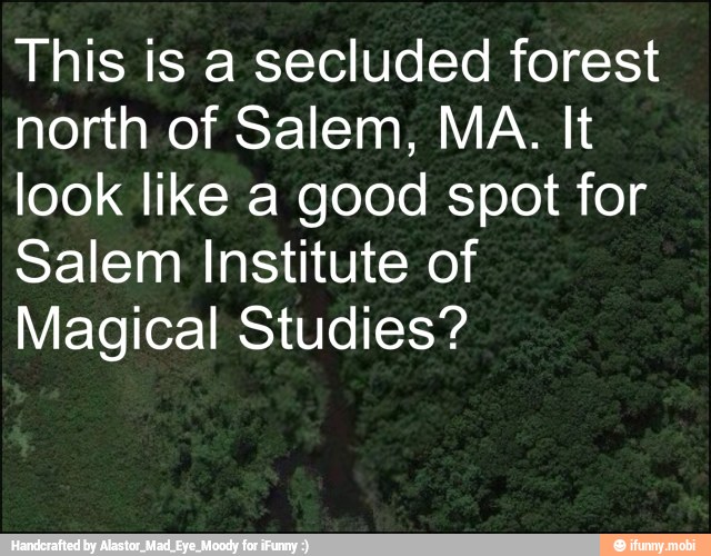This is a secluded forest
north of Salem, MA. It
look like a good spot for
Salem Institute of
Magical Studies?