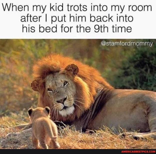 When my kid trots into my room after I put him back into
his bed for the time
@stamfordmommy