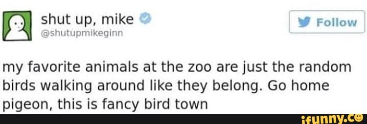 shut up, mike I Follow
my favorite animals at the zoo are just the random birds walking around like they belong. Go home pigeon, this is fancy bird town