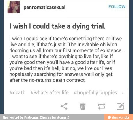 I wish I could take a dying trial.
I wish I could see if there's something there or if we
live and die, if that's just it. The inevitable oblivion
dooming us all from our first moments of existence.
I want to see if there's anything to live for, like if
you're good then you'll have a good afterlife, or if
you're bad then it's hell, but no, we live our lives
hopelessly searching for answers we'll only get
after the no-returns death contract.