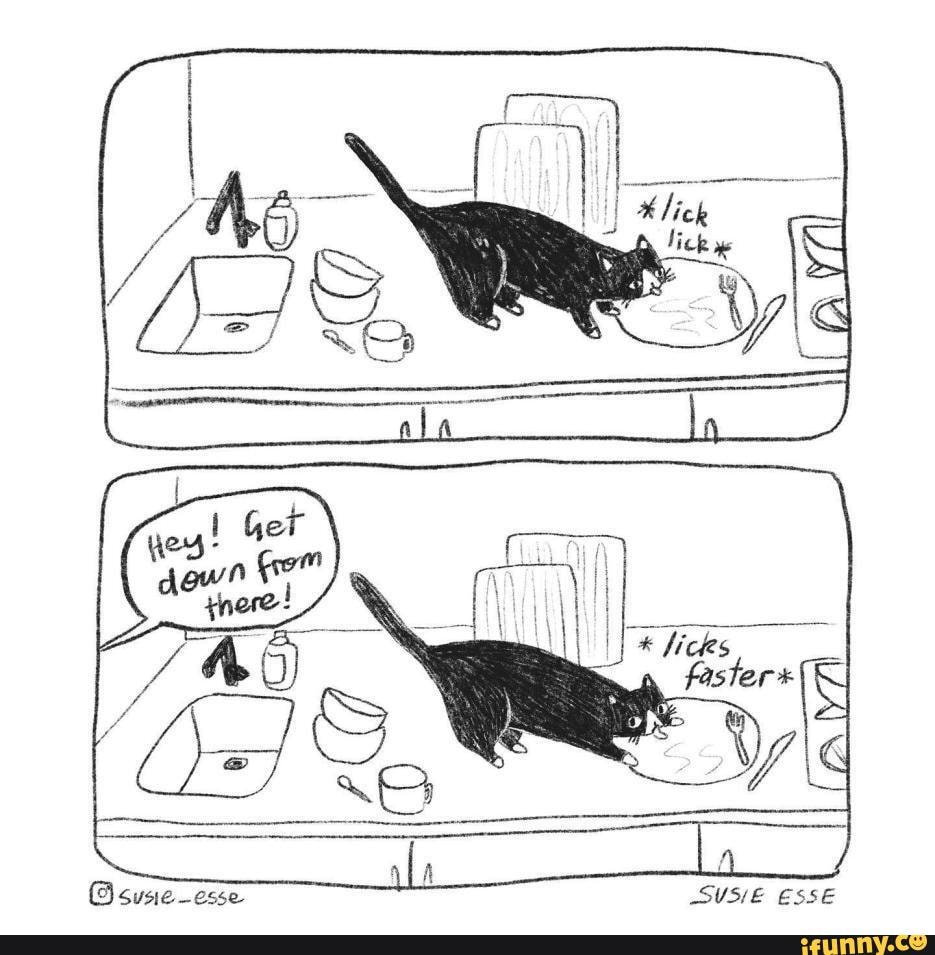 Cat memes - faster* Osusie-esse SUSIE ESSE - iFunny