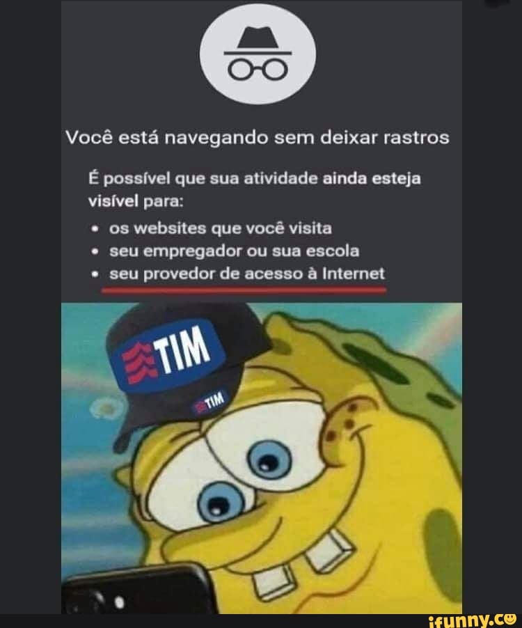 Você está navegando sem deixar rastros
É possível que sua atividade ainda esteja visível para:
os websites que você visita
* seu empregador ou sua escola
* seu provedor de acesso à Internet