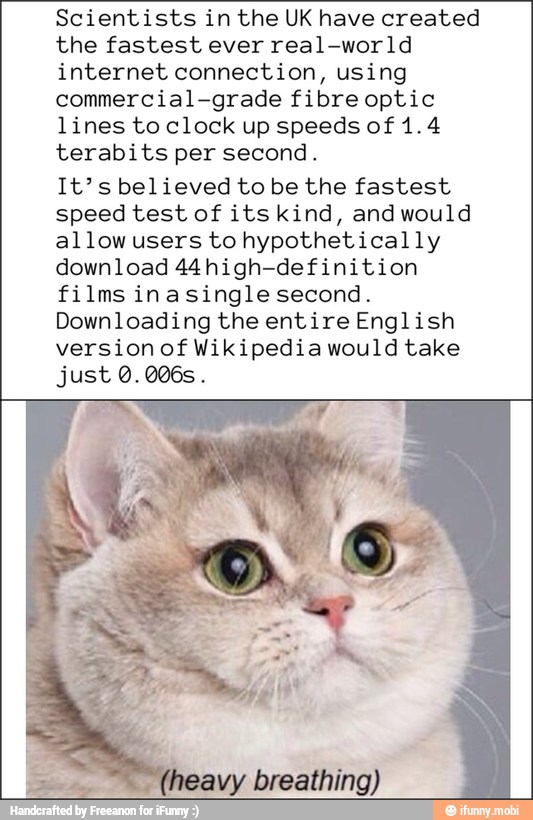 Scientists in the UK have created
the fastest ever real-world
internet connection, using
commercial-grade fibre optic
lines to clock up speeds of 1.4
terabits per second.
It's believed to be the fastest
speed test of its kind, and would
allowusers to hypothetically
download 44 high-definition
films inasingle second.
Downloading the entire English
version of Wikipedia would take
just 0.006s.