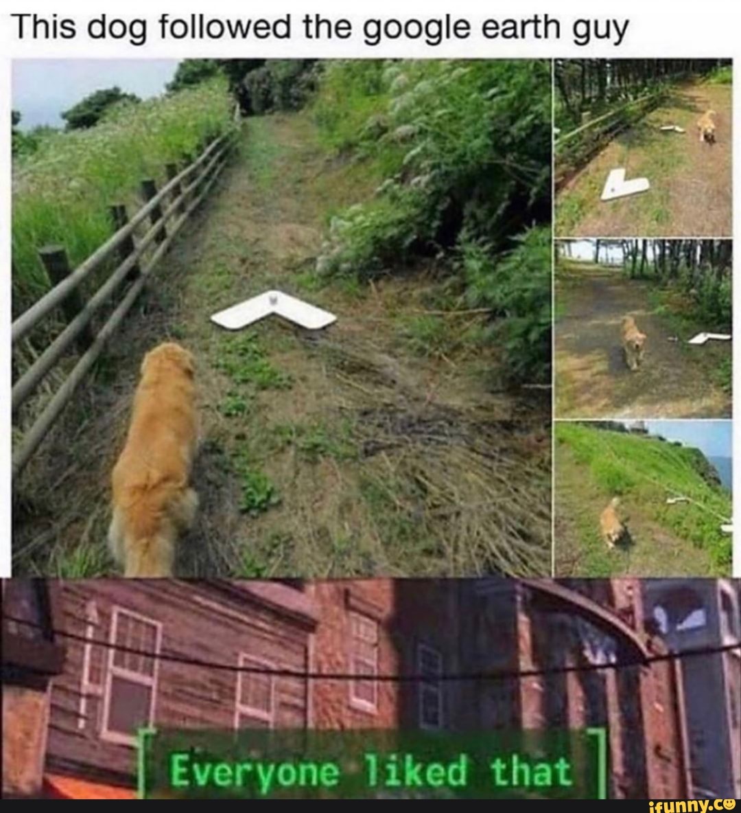 This dog followed the google earth guy
liked that I