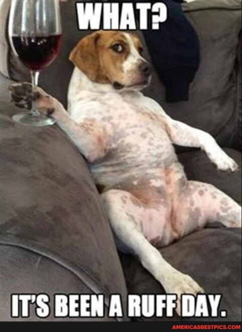 WHATS
IT'S BEEN A RUFF DAY.