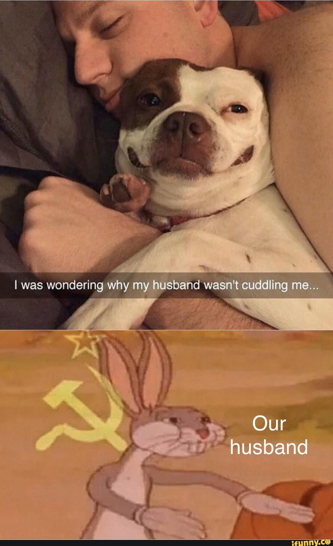 I was wondering why my husband wasn't cuddling me...
Our husband