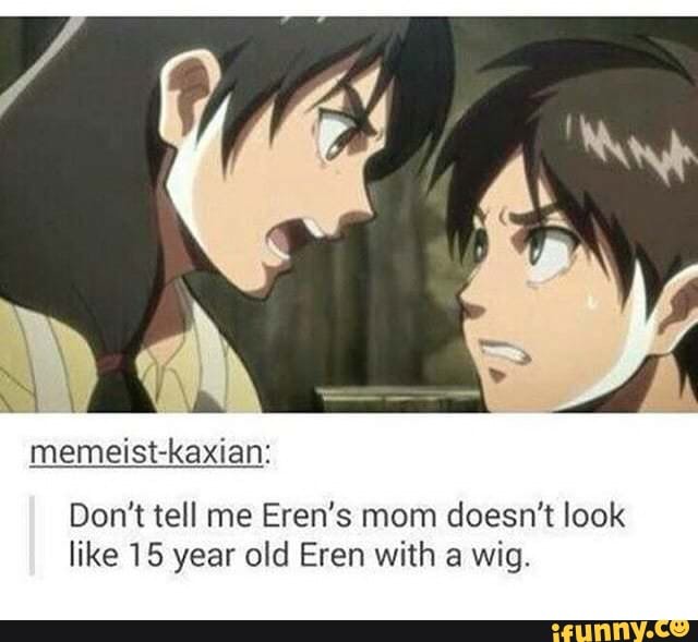 Memeist-kaxian: Don't tell me Eren's mom doesn't look like 15 year old ...