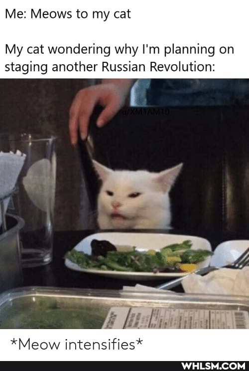 Me: Meows to my cat
My cat wondering why I'm planning on
staging another Russian Revolution:
i Vii
*Meow intensifies*