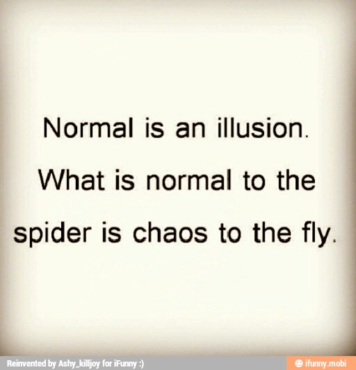 Normal is an illusion.
What is normal to the
spider is chaos to the fly.
