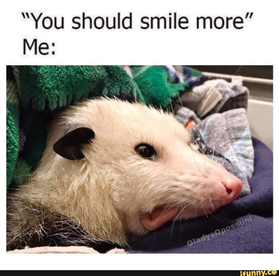 Smile memes. Best Collection of funny Smile pictures on iFunny