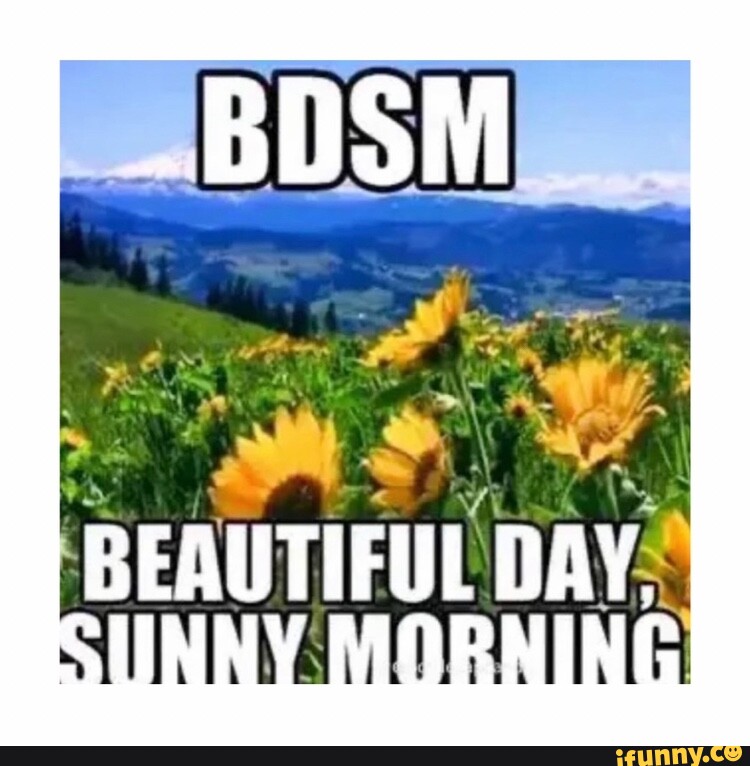 Beautifulday memes. Best Collection of funny Beautifulday pictures on iFunny