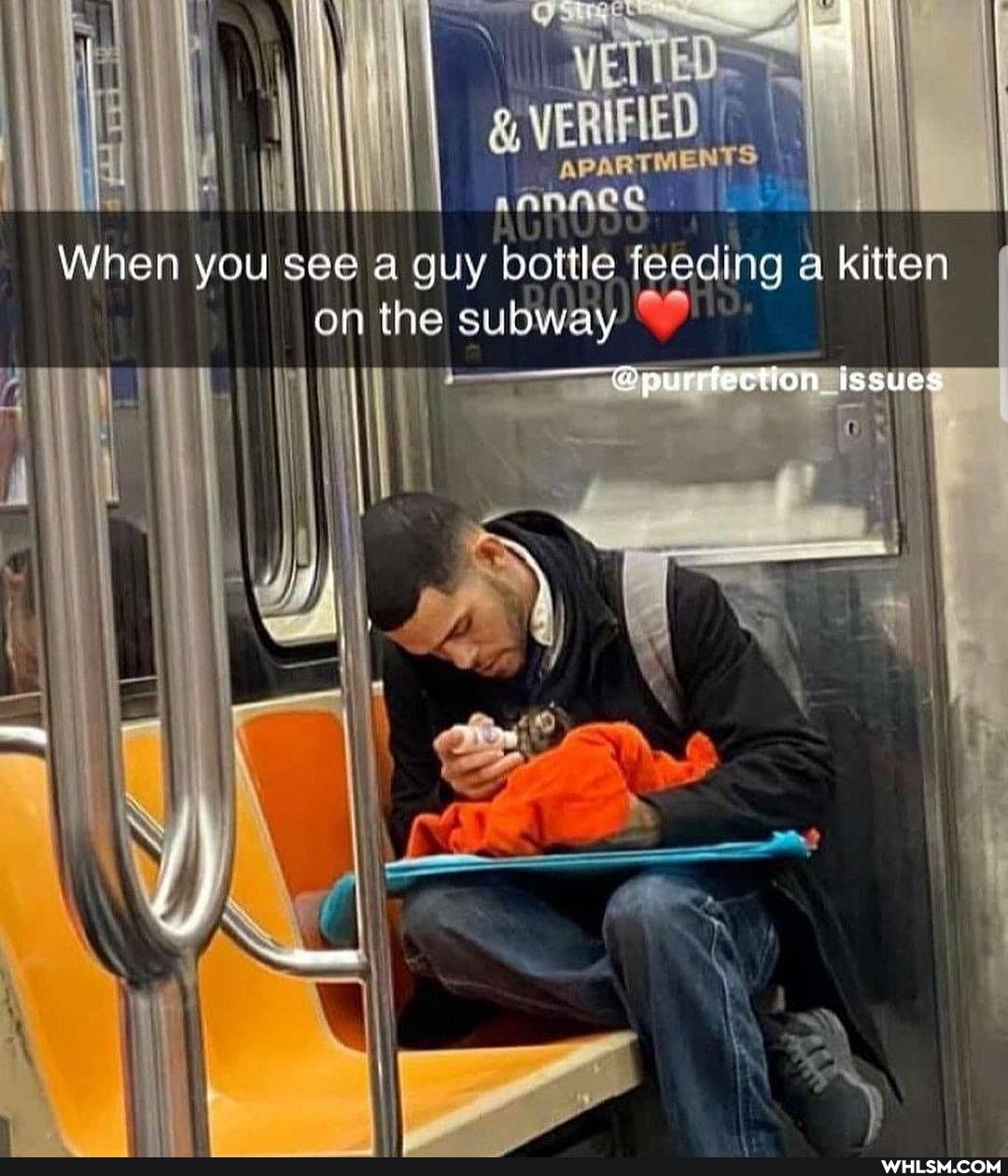 When you see a guy bottle feeding a kitten on the subway
_de