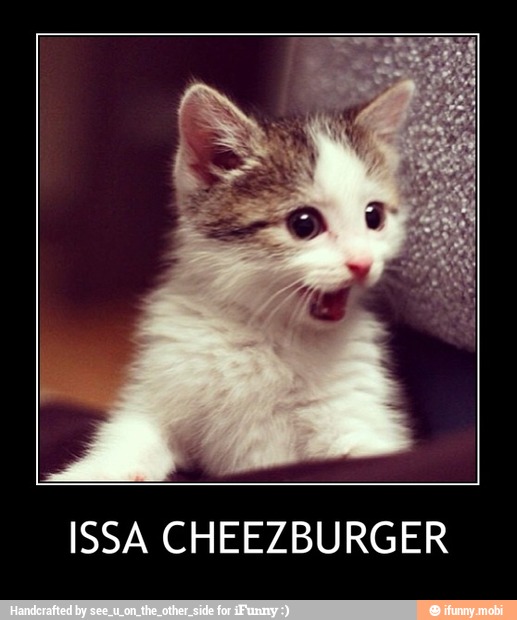 ISSA CHEEZBURGER - ISSA CHEEZBURGER