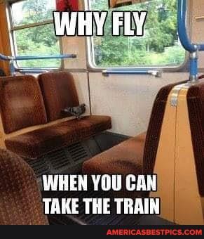 FY
WHEN YOU CAN TAME THE TRAIN