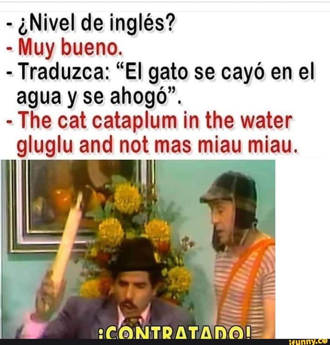 Nivel de ingles? Traduzca: gato se cayo en el agua alhogo". The Cat ...