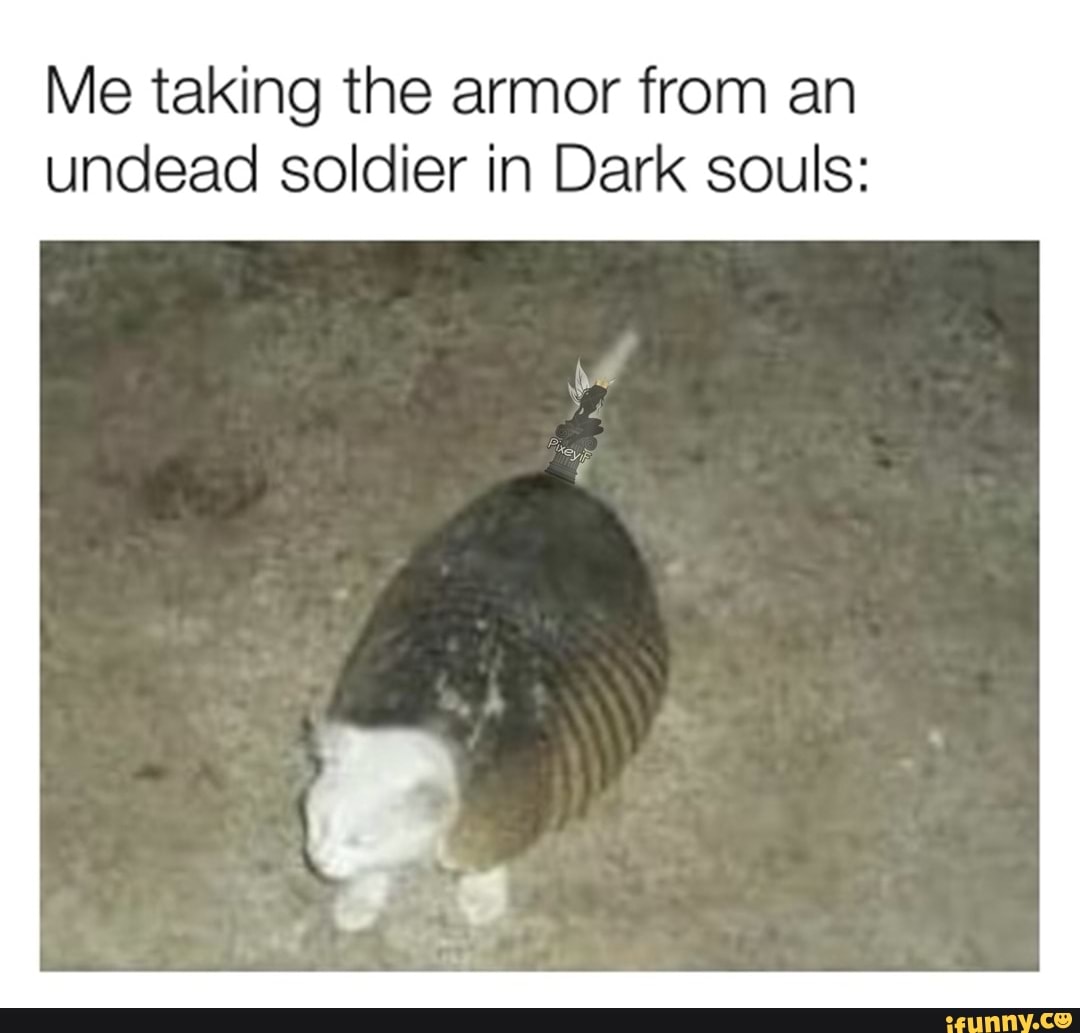 Flat is justice Medium is premium Oppai is truth Personality is