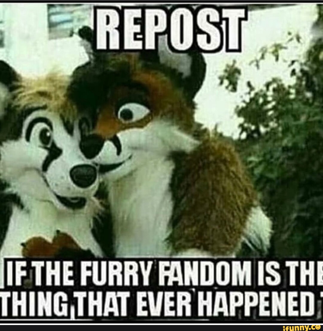 IF THE FURRY FANDOM IS THE THING THAT EVER HAPPENED; - iFunny