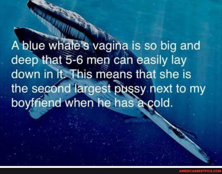 Avblue whate's vagina is so big and deep at 5-6 men can easily lay down in is means that she is
the second largest pugsy next to my boyffiend when he- ha: old.