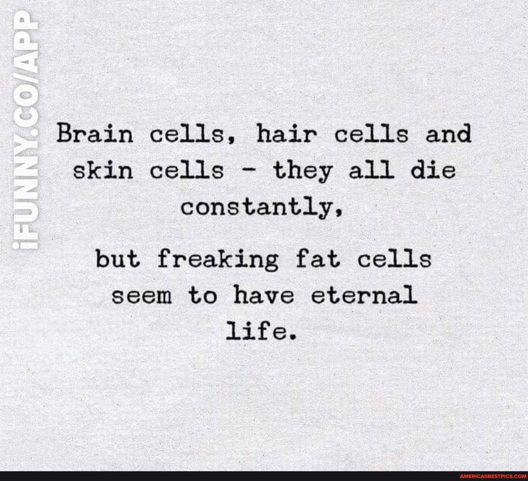 Brain cells, hair cells and skin cells - they all die constantly,
but freaking fat cells seem to have eternal life.