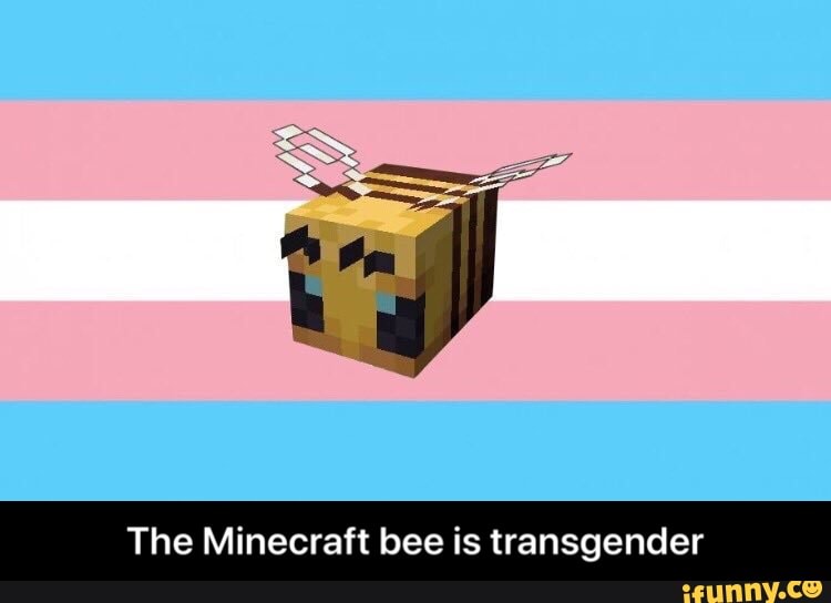 The Minecraft Bee Is Transgender.