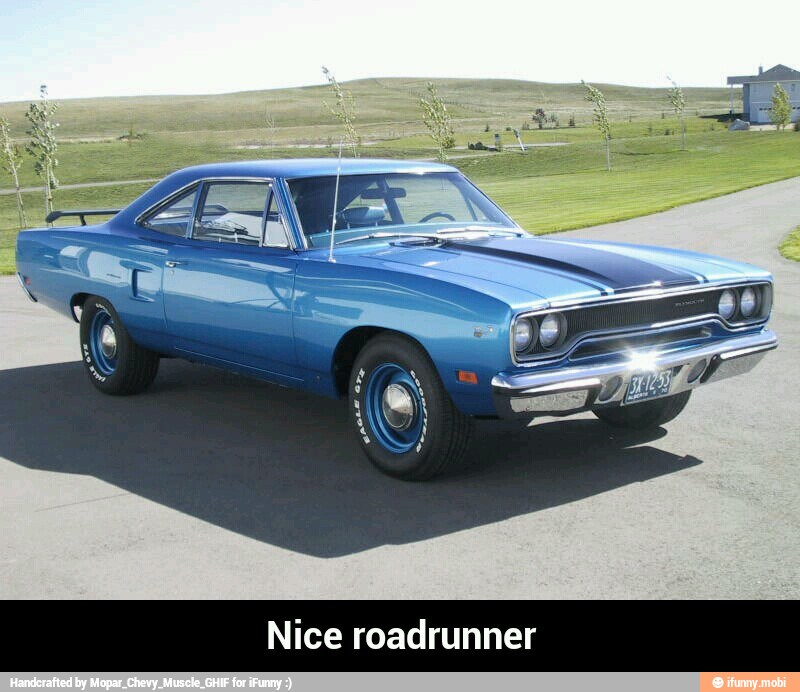 Nice roadrunner - Nice roadrunner
