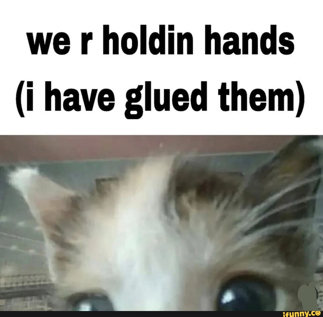 we-r-hold-hands-have-glued-them-ifunny