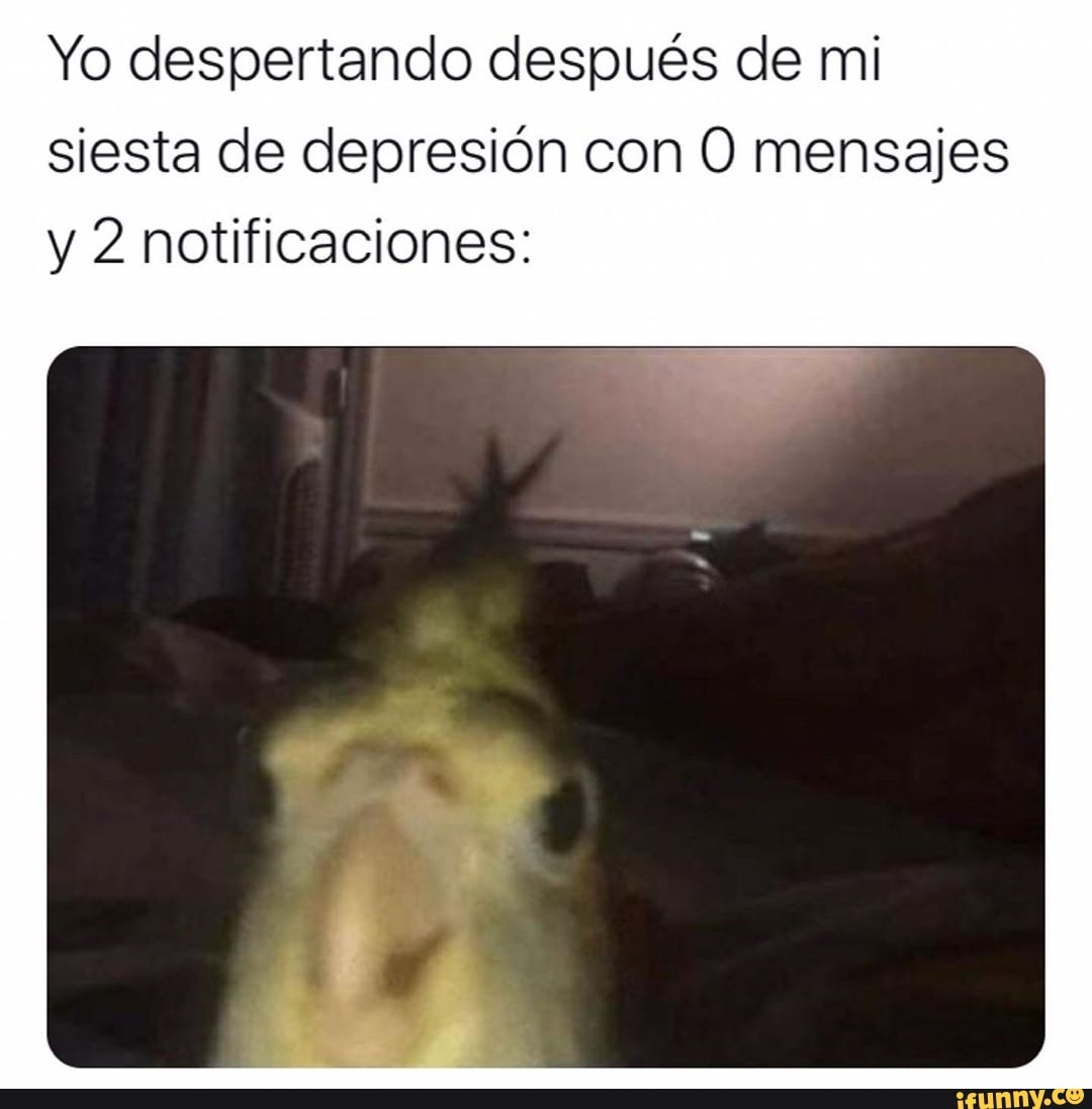 Yo despertando después de mi
siesta de depresión con O mensajes
y 2 notificaciones: