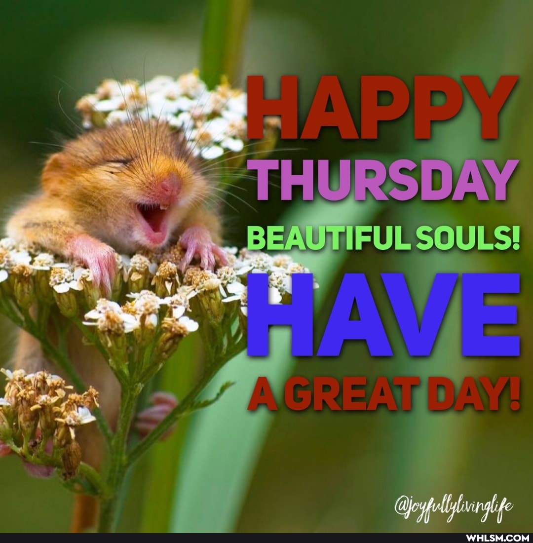 THURSDAY
BE FUL SOULS!