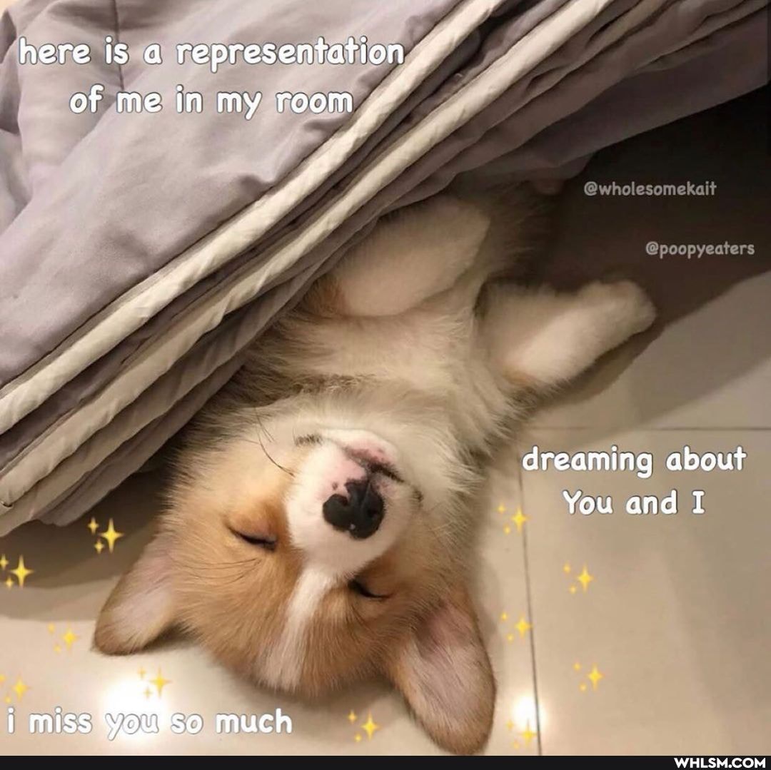 here is a representation of me in my room
@wholesomekait
@poopyeaters
dreaming about
You and I
i miss You SO much