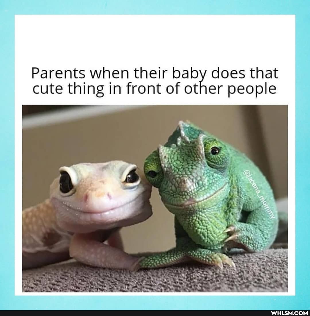 Parents when their baby does that cute thing in front of other people