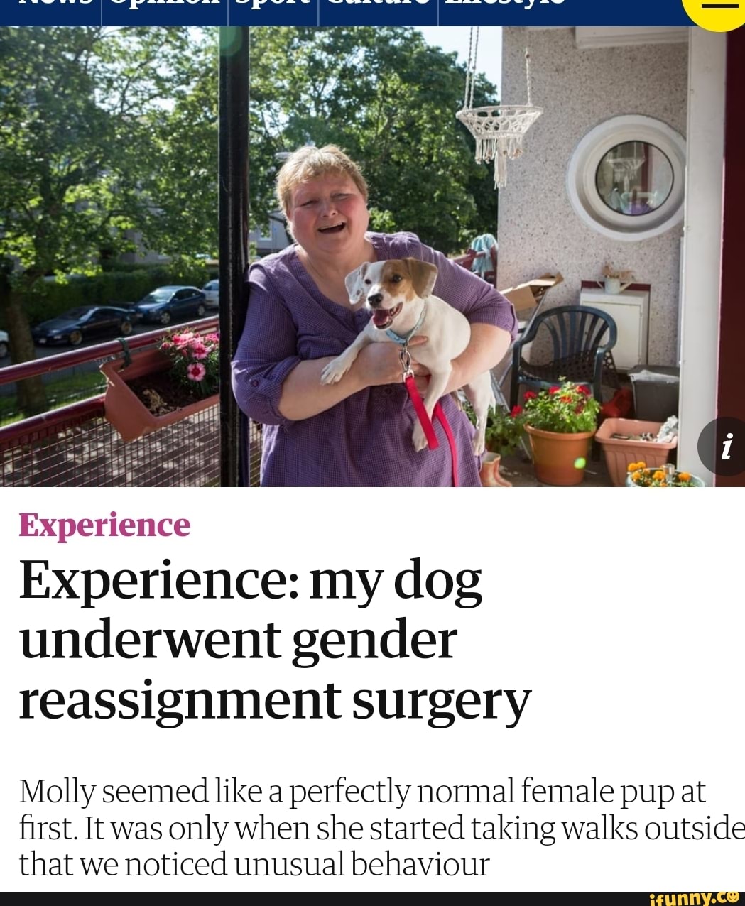 dog gender reassignment surgery