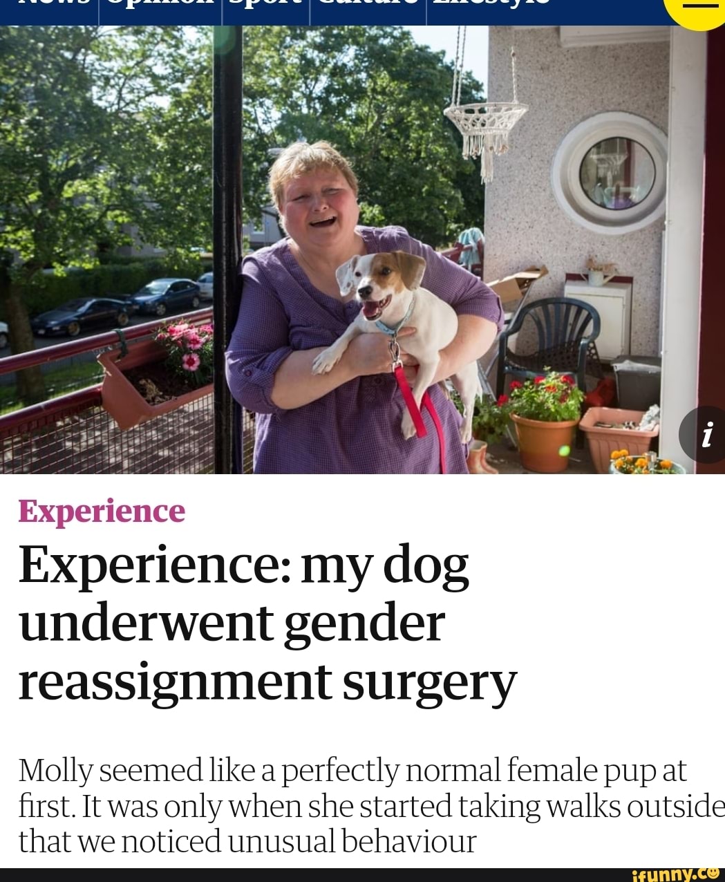 gender reassignment surgery for animals