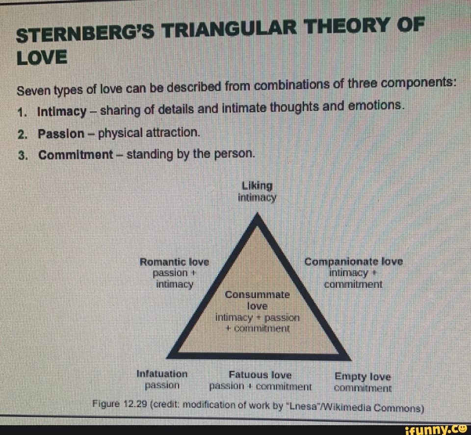 Sternbergs Triangular Theory Of Love Seven Types Of Love Can Be Described From Combinations Of 